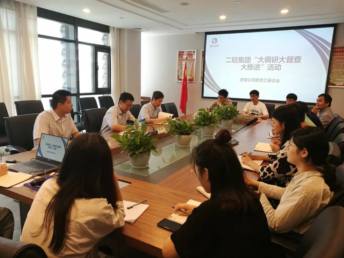 “大調研大督查大推進”工作進皮塑